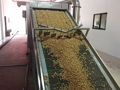 Linha de produção de tortilla chips de milho Doritos