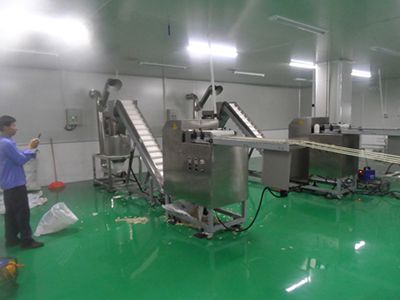 Linha de produção de migalhas de pão e migalhas panko