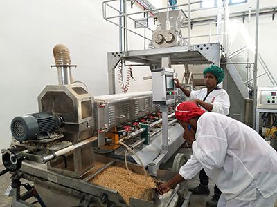 Linha de produção de proteína de soja texturizada e nuggets de soja