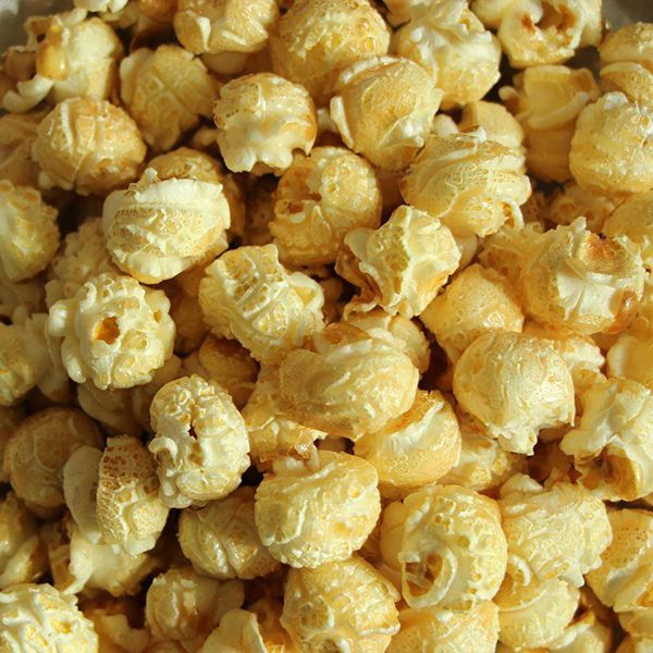 Linha de produção de pipoca de cogumelos e pipoca borboleta