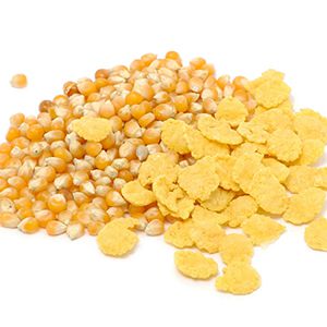 Linha de produção de flocos de milho e cereais matinais