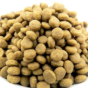Linha de extrusão de ração seca para animais de estimação