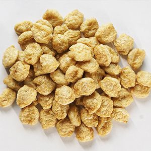 Linha de produção de proteína de soja texturizada e nuggets de soja