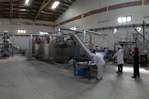 Projeto de máquina de proteína texturizada