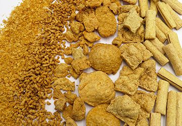Linha de produção de proteína de soja texturizada e nuggets de soja