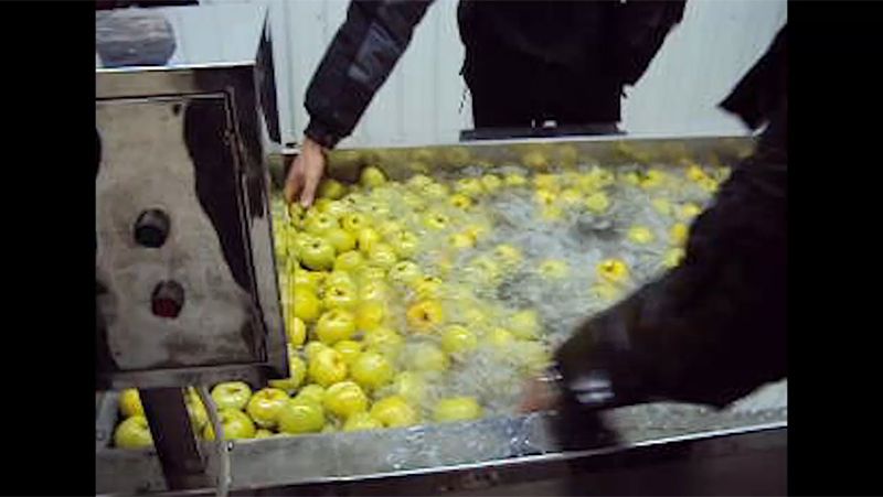 Máquina para lavar legumes e frutas