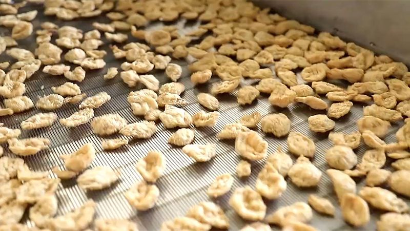 Linha de produção de proteína de soja texturizada e nuggets de soja
