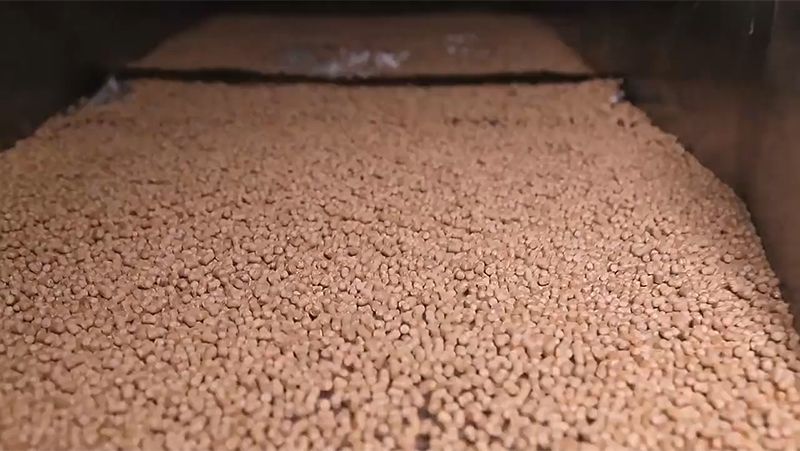 Linha de produção de ração para camarões, peixes e animais aquáticos