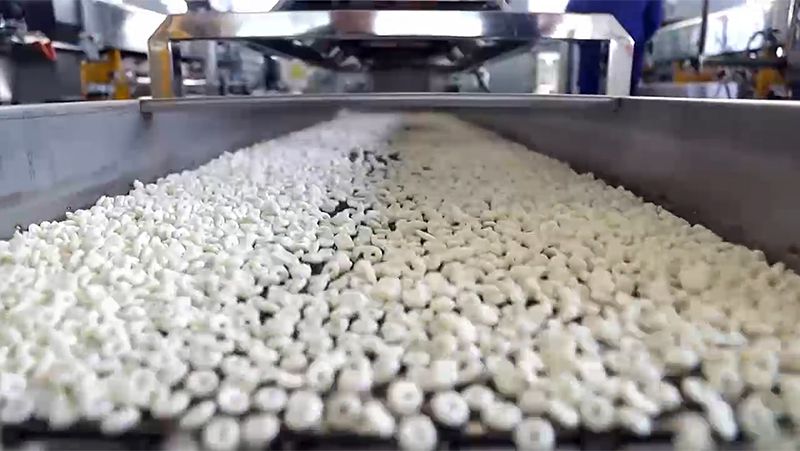 Linha de produção de flocos de milho e cereais matinais